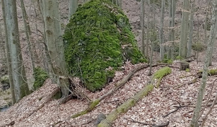 Zobraziť fotografiu