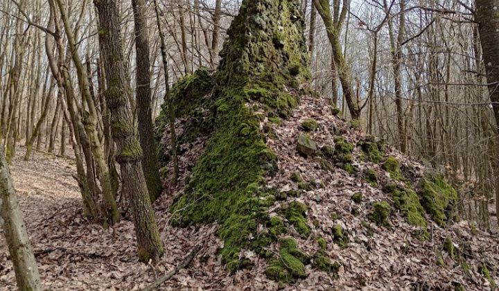 Zobraziť fotografiu