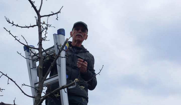 Zobraziť fotografiu