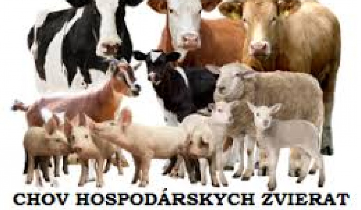 Fotka - Epidémia SLAK: Registrácia chovu hospodárskych zvierat do 9.4.2025
