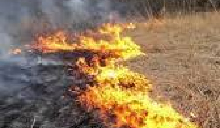 Fotka - Vypaľovanie trávy je prísne zakázané!!!