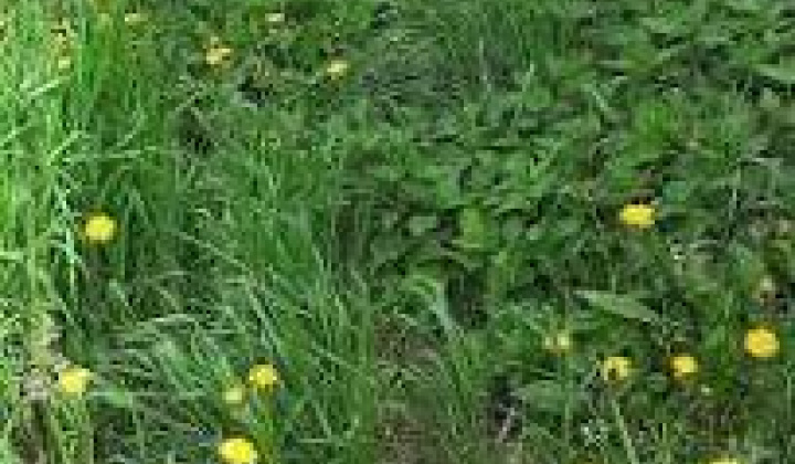 Fotka - Zaburinenie pozemkov mimo hranice zastavaného územia obce - upozornenie